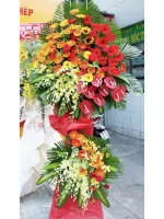 Kệ hoa khai trương | LCM-48